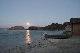 El burro bei Mulege.JPG