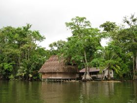 Guatemala Rio Dulce (11).JPG